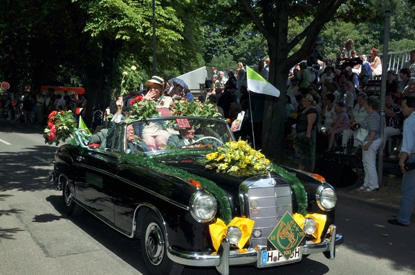 Schuetzenausmarsch 2009   155.jpg